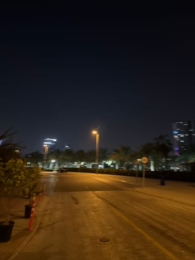 The image depicts a street scene at night in Dubai, United Arab Emirates. A paved road with a yellow line runs through the center, flanked by a sidewalk. Palm trees and low-lying bushes line the street, with modern buildings visible in the background. A street lamp illuminates a portion of the road, casting a warm glow. A few cars are present on the road, and there are also some traffic cones and a trash bin visible on the side. The sky is dark, indicating it is nighttime. The overall impression is one of a well-lit urban environment.