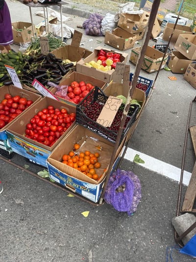 This media file captures a vibrant outdoor market scene in Kyiv, Ukraine. The image showcases a variety of fresh produce displayed on cardboard boxes and in crates, arranged on a metal stand. Among the visible items are red and yellow bell peppers, tomatoes, eggplants, cucumbers, cherries, and small orange fruits, possibly cherry tomatoes or kumquats. A net bag filled with what appears to be potatoes or onions is also present.
Several price tags with handwritten inscriptions are visible, indicating the items are for sale. Some text is legible, including "Капуста пик 00" (Cabbage pie 00), "Черешня 185" (Cherries 185), and "Носики" which is likely a name or product descriptor. The overall impression is that of a bustling market, likely taking place during daylight hours, given the lighting. The ground is paved, suggesting an urban or semi-urban setting. While no people are fully in frame, a portion of a person's arm wearing a purple garment is visible in the lower left corner, suggesting a customer or vendor interaction. The scene is rich with the colors and textures of fresh produce, evoking a sense of abundance and local commerce.