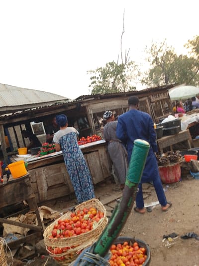 A bustling market scene shows numerous individuals near stalls selling tomatoes. A woman in a blue dress stands at a wooden counter laden with tomatoes. Another woman in a gray garment and a man in a blue outfit walk behind her. In the foreground, a basket brimming with tomatoes sits on a bicycle. Other stalls in the background show diverse wares, including what appears to be meat. The environment suggests a lively, open-air marketplace with various sellers and customers.