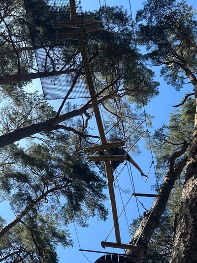 This media file captures an individual navigating an aerial adventure course set amidst a dense pine forest. The setting is likely Jūrmala, Latvia, given the context. The activity involves traversing a series of suspended wooden platforms and rope bridges, with the subject shown in mid-action, reaching out with one arm and balancing on a wooden beam. The viewpoint is from below, looking up through the trees towards a clear, bright blue sky, suggesting it's daytime with fair weather.
The subject is wearing dark clothing and appears to be securely attached to safety lines, indicated by the presence of cables running above and around the course. The course itself is constructed from natural materials, primarily wood, integrated into the surrounding trees. A black safety net is visible on the left side of the frame, suggesting a section of the obstacle course. The overall impression is one of an active outdoor pursuit, challenging balance and agility. The sharp detail and clear sky suggest the photo was taken during daylight hours, possibly late morning or early afternoon. There is no visible text in the image.