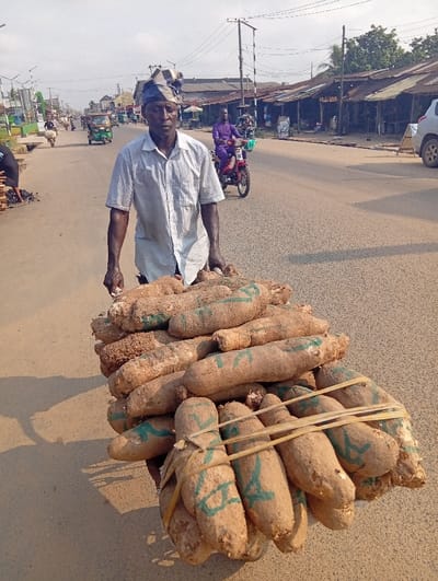 The image displays an outdoor scene on a paved asphalt road in Umuode, Nigeria, under clear daylight, indicated by strong shadows cast towards the lower-left.
In the immediate foreground, a dark-complexioned male individual, wearing a light-colored striped short-sleeved collared shirt and a blue and white patterned headwrap, is observed pushing a handcart. His hands grip the obscured handles of the cart, and his gaze is directed forward. The cart is heavily laden with a substantial quantity of light-brown yams, many of which exhibit distinct green "V" or "K" shaped markings. Several bundles of yams are secured with light-colored twine or rope.
The road surface is dry and appears to be in reasonable condition. In the mid-ground, a person dressed in purple attire is riding a red motorcycle on the right side of the road, moving away from the viewer. Further along the right side of the road, a series of weathered stalls with corrugated metal roofs line the street, suggesting commercial activity. A white vehicle, possibly an SUV, is partially visible parked or moving further down the road on the far right.
On the left side of the road, utility poles with numerous overhead wires are present. Green foliage is visible beyond a concrete curb. A green motorized tricycle (tuk-tuk) and other indistinct figures are visible in the distance on the left side of the road, indicating ongoing traffic and pedestrian presence. The sky appears light and hazy.