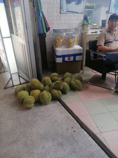 An adult man sits in a black barber-style chair in what appears to be the entrance area of a shop, potentially a barber shop, in Bai Chay Ward, Vietnam. He is casually dressed in a brown and striped polo shirt, blue jeans, and a dark baseball cap, with a neutral and somewhat contemplative expression, looking slightly to his left.
A large pile of fresh, spiky green durians is scattered on the ground, transitioning from a textured grey outdoor pavement to an indoor tiled floor with alternating pale pink and light green/grey squares. Adjacent to the durians, on a white styrofoam box with blue and red markings, several transparent pouches of dried, crispy fruit slices are displayed for sale.
Behind the packaged snacks, a light-colored wooden cabinet holds a small potted plant, and above it, a large mirror reflects parts of the interior. The indoor wall features a white textured brick pattern. To the left, a metal accordion-style gate or folding door is partially open, revealing a white vertical sign with red text. The visible text on the sign includes characters that resemble "理发" (lǐfà), which translates to "haircut" or "barber" in Chinese, suggesting the primary business of the establishment. Colorful folded fabric, possibly an umbrella or awning, is propped against the wall near the entrance. The scene is illuminated by ambient daylight. The arrangement of a barber chair with durians and dried fruit for sale at the entrance suggests a multi-purpose or secondary business operation.