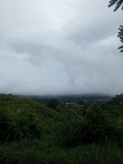 The image presents an elevated, panoramic view looking down upon the city of Babaliya Mal., India. The upper two-thirds of the frame are dominated by a heavily overcast, grey sky with dense cloud cover, and the dark green leaves of an unidentified tree are partially visible in the upper right corner. The foreground and midground consist of a steep, verdant hillside covered in dense, diverse green vegetation, including tall grasses and various shrubs. In the background, a sprawling urban area with numerous buildings and trees is discernible, largely obscured by a thick layer of fog or low-lying clouds that extends across the horizon, limiting visibility of distant structures. No individuals or specific actions are visible.