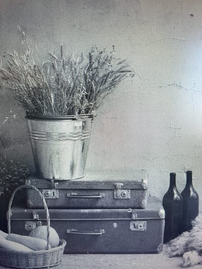 This black and white photograph captures a still life arrangement against a textured, light-colored wall. The primary subjects are a collection of objects that evoke a sense of travel and harvest.

In the foreground, to the left, is a metal bucket overflowing with dried grass or wheat stalks. The bucket itself appears worn, with visible bands around its body and a handle. To the right, a vintage suitcase, possibly made of leather or a similar material, stands upright. It has two latches and handles, suggesting it's meant for travel. Resting on top of the suitcase are two dark glass bottles, likely wine bottles, positioned closely together. Partially visible behind the suitcase and to its right is a woven basket, also appearing to be made of straw or wicker. The basket is partially obscured and seems to hold something light-colored, possibly fabric or fur.

The scene is static; no people are visible, and no specific activity is taking place. The lighting suggests it might be daytime, though the atmosphere is somewhat muted and rustic. The textured wall and the nature of the objects – a suitcase, wine bottles, and dried stalks – hint at a rural or perhaps a travel-related setting. The overall mood is quiet and perhaps nostalgic.

There is no visible text in the image. The grainy texture of the photograph adds to its vintage feel. The location context of Batumi, Georgia, doesn't offer specific visual cues within the image itself, but it grounds the observation in a particular geographical area.