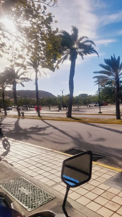The image depicts a sun-drenched scene in Pedro González, Venezuela, likely a coastal town. The foreground features a tiled pedestrian walkway with a metal grate and the reflective side mirror of a vehicle, showing a reflection of the sky and some overhead structure. To the left, the front wheel of a scooter or motorcycle is partially visible. Beyond the walkway, a paved road curves away, lined with yellow curbs and shadowed by palm trees. In the middle ground, a parking lot is visible with several parked vehicles, including a white SUV and red cars. The background reveals a line of trees and a gentle, sloping hill covered in vegetation, under a bright blue sky with scattered clouds. The overall impression is one of a warm, sunny day in a tropical or subtropical environment.