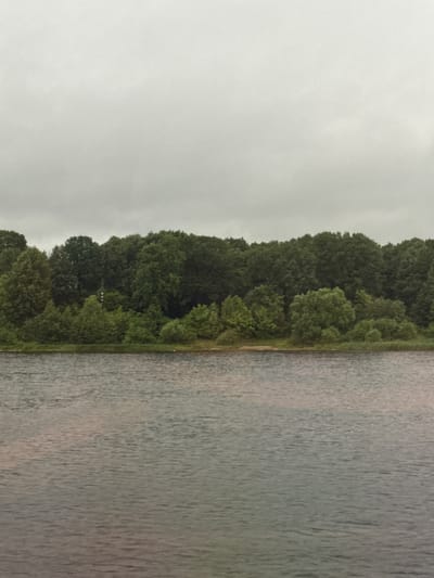 A wide shot captures a tranquil body of water leading to a dense, green treeline under an overcast sky. The water, rippled by a gentle breeze, reflects the muted tones of the sky and vegetation. The treeline, composed of various deciduous and coniferous trees, forms a natural barrier across the horizon, with a small patch of sand visible at the water's edge. The overall atmosphere is one of peaceful seclusion, suggesting an outdoor natural setting. The image is likely taken in a rural or natural area, with no discernable man-made structures apart from a faint, thin, tower-like object barely visible in the center of the treeline.