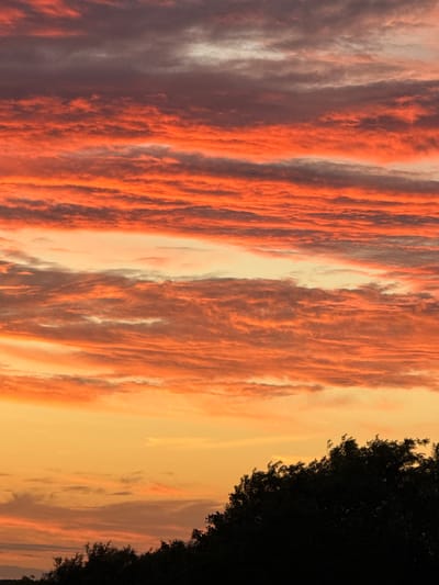 The image shows a sunset sky filled with dramatic, horizontally layered clouds painted in vibrant shades of orange, red, and purple. The lower portion of the image is silhouetted by the dark foliage of trees, suggesting a natural or park-like setting. There are no people or specific identifiable structures visible that would pinpoint a location within Great Yarmouth, United Kingdom. The focus is solely on the atmospheric display of the sunset.