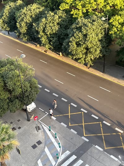 An aerial view captures a sun-drenched street scene in Valencia, Spain. A two-lane asphalt road runs diagonally across the frame, bordered by a yellow line on the left and a sidewalk with trees on the right. The road is marked with white dashed lines, and a section of yellow "box junction" markings is visible in the middle right. Two people, a woman in a floral dress and a man in a white t-shirt and shorts, are walking on the road, one towards the other. A white Fiat 500 car is parked on the left sidewalk near a large tree. A small dog is on a leash near the car. On the lower left, a section of a sidewalk with a palm tree and green bollards is visible, alongside a pedestrian crossing with white stripes. The lighting suggests it is late afternoon, casting long shadows.