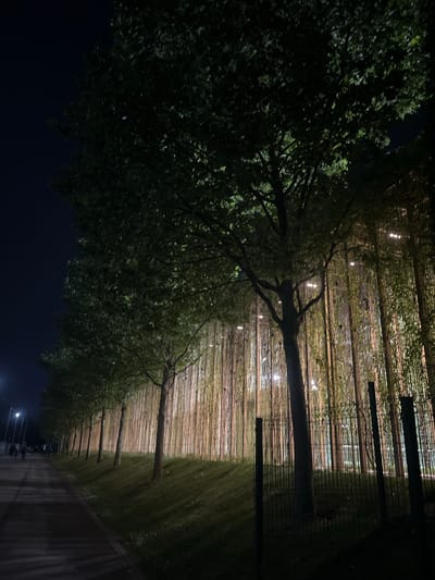The image depicts a pathway lined with trees and covered by a trellis adorned with lights. The scene appears to be an outdoor public space, possibly a park or a pedestrian walkway, at night. The trees, dense with green foliage, create a dark canopy on the left side of the frame, while the trellis with its scattered lights forms a textured ceiling above the pathway. The pathway itself is paved and has a darker, reddish hue on the right side, suggesting it might be made of brick or a similar material. In the background, more trees or shrubbery are visible, forming a dense, dark green mass. Several poles or posts are visible along the right side, supporting the trellis structure. The lighting, with small, bright dots spread across the trellis, indicates artificial illumination, possibly string lights or lanterns, creating a warm and inviting glow against the dark night sky. The overall mood is serene and somewhat magical due to the interplay of light and shadow. There are no visible people or text in the image, and the weather appears calm and clear, suitable for an evening stroll. The orientation of the image is landscape, but the content is presented rotated. The location is identified as Krasnodar, Russia.