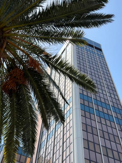 This media file captures a low-angle, close-up view of a palm tree with its fronds and clusters of dates in the foreground. The palm tree is set against a modern building with a distinctive facade composed of diamond-shaped glass panels. The panels are a mix of blue and muted tones, reflecting the sky and surroundings. The building's architecture suggests a contemporary urban environment.

The sun is bright, casting shadows and highlighting the texture of the palm fronds. The clear blue sky indicates fair weather. The presence of palm trees and the architectural style are consistent with a Mediterranean location like Barcelona, Spain. There is no visible text in the image. The overall mood is one of bright daylight in an urban setting, with the natural element of the palm tree contrasting with the man-made structure. The image does not depict any people or specific events.