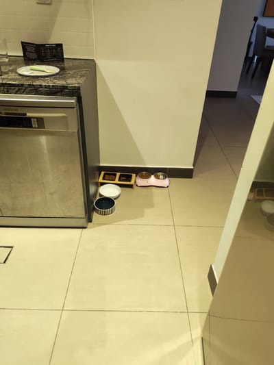 An indoor, floor-level, medium shot captures a kitchen area with a stainless steel dishwasher and a countertop. On the countertop, a small instructional booklet titled "How To Use" is open. Next to it sits a grey plate with a green utensil on it. On the floor, near the dishwasher, a wooden stand holds three small bowls, two filled with kibble. Adjacent to the wooden stand, there are two pet bowls, one white and one striped blue and white, and a pink pet food bowl with two silver bowls, one containing kibble. The floor is tiled in a light beige color. The environment suggests a residential or hotel kitchen.
