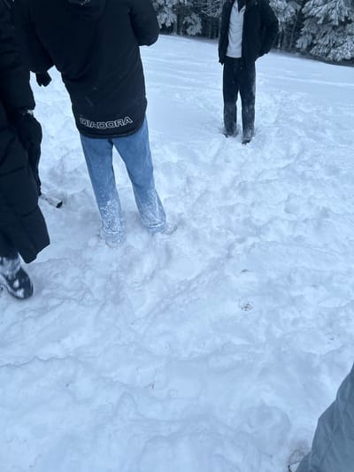 The scene depicts an outdoor, snow-covered environment in Le Hohwald, France. Deep, irregular snow covers the ground, marked by footprints and disturbed areas. Four individuals are present, primarily viewed from behind or partially.
A person in the center-left wears a black puffer jacket with "DIADORA" visible in white text on the lower back, and light blue jeans heavily encrusted with snow from the mid-calf down, indicating travel through deep snow. Their footwear is obscured by snow. To their immediate left, the lower portion of a black coat and a black winter boot with a white sole, dusted with snow, are visible.
Further back and to the center-right, another individual stands, viewed from behind, wearing a black puffer jacket, a white collared garment beneath it, and dark pants with snow accumulated on the lower legs and dark footwear. In the far right foreground, only the lower legs and dark, snow-covered footwear of a fourth person are visible. The background features a dense forest of evergreen trees heavily laden with snow, suggesting a winter landscape. The lighting is diffuse, indicative of an overcast sky.