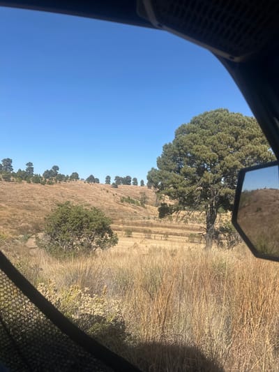 View from inside a vehicle, possibly an ATV, shows a dry, grassy hillside under a clear blue sky. A line of trees flanks the top of the hill. A larger, isolated tree stands closer, next to a dirt path. Dry brush fills the foreground. A side mirror is partially visible in the frame. The vehicle's interior components frame the scene.