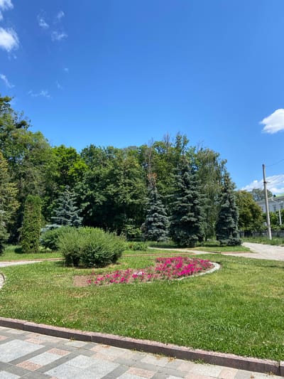 The image depicts a park area with lush green grass and a variety of trees, including coniferous and deciduous varieties. In the foreground, there is a flower bed with vibrant pink flowers and a neatly trimmed bush. A paved walkway with a granite border runs along the bottom of the image. In the background, more trees form a dense line, with a building and a utility pole visible to the right. The sky is a clear blue with a few white clouds. This scene is located in Poltava, Ukraine, likely a public park or garden. There are no people or animals visible in the image.
