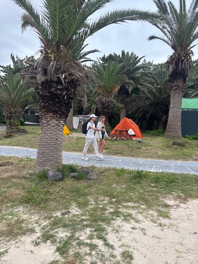 This media file depicts a scene on Jeju Island, South Korea, likely a park or coastal area with palm trees and a pathway. Two people are visible, a man and a woman, dressed in casual attire. The man, wearing a white cap, white t-shirt, and light-colored pants, has a backpack on and appears to be holding a phone or camera, possibly taking a selfie or recording a video. The woman, in a white outfit, is standing next to him.

In the background, an orange tent is set up with a wooden bench in front of it. The environment features lush green grass bordering a grey stone pathway. The image is dominated by large palm trees, their trunks textured and fronds spread wide. The weather appears to be overcast, suggested by the dull sky. The overall impression is a relaxed, perhaps touristy, outing. No visible text is present in the image.