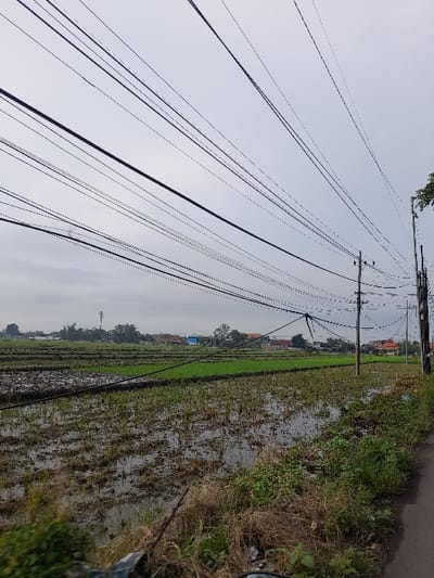 The image shows a flooded paddy field in the rural outskirts of Kecamatan Tanggulangin, Indonesia (latitude: -7.503, longitude: 112.726). The field is located near a road and is bordered by a line of vegetation. The field is partially flooded with water, and the ground is covered in mud. There is a large number of power lines strung across the sky above the field, with numerous utility poles in the distance. In the background, several houses and a tall structure are visible, indicating human presence in the area. The sky is overcast with a light gray color. The scene appears to be taken during the daytime, although the absence of direct sunlight suggests overcast conditions. There are no people visible in the scene.  The image suggests a rural setting with a focus on infrastructure and agriculture.