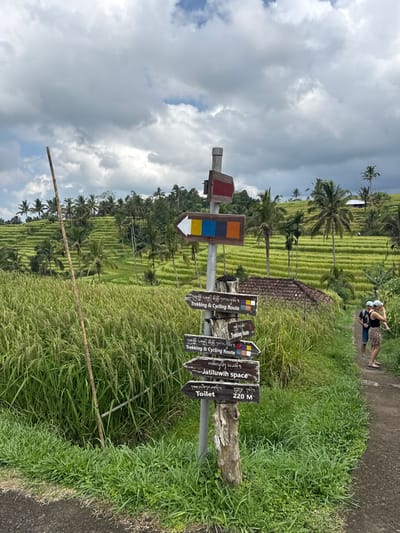 The scene is in Penebel, Indonesia, featuring a rural landscape with tiered rice paddies stretching into the distance. A wooden signpost in the foreground displays various directions and distances, including "Trekking & Cycling Route" and "Jatiluwih space," along with a sign indicating "Toilet 220 M." To the upper right, two individuals are seen walking along a path. The sky is filled with clouds, casting shadows on the landscape. The scene is lush with greenery, including tall grasses growing along the pathway and surrounding the signpost.