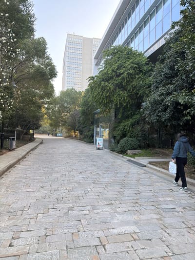 The image depicts an outdoor scene in Jianye District, China, centered on a wide, uphill-sloping pathway paved with variously shaped grey flagstones. In the foreground-right, an individual walks uphill, seen from behind. This person wears a dark blue hooded jacket, dark trousers, and white-soled athletic shoes, carrying a white shopping bag with dark branding in their right hand. To the immediate right of the pathway, dense green trees and shrubs line the base of a modern building featuring a light-colored facade with horizontal bands of reflective glass windows. A clear, multi-pane glass structure or entrance is visible beneath the main building, adjacent to which stands a white A-frame sign displaying red and black Chinese text and graphics, including a red square with a white arrow pointing right and a red circular prohibition symbol.

The pathway's left edge is delineated by a raised concrete curb. Behind this curb, a dark trash receptacle is positioned, and further back, a street lamp fixture is partially visible amongst dense green trees. One tree on the far left exhibits white blossoms. In the mid-ground, at least one additional, indistinct figure is visible walking uphill on the pathway. The background features a tall, light-grey high-rise building with numerous rectangular windows, rising above the distant treeline. The entire scene is illuminated by bright, natural daylight under a clear sky.