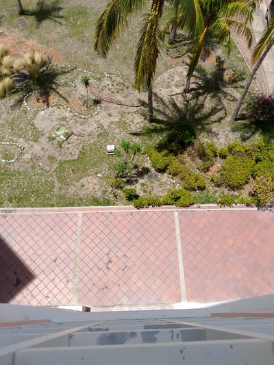 The image shows an overhead view of an outdoor area in Pedro González, Venezuela. In the foreground, a tiled patio with reddish-brown square tiles is visible. Beyond the patio, a grassy area with scattered stones and patches of dry earth is seen. Several palm trees, some with visible fronds, are present, casting shadows on the ground. There are also several low-lying green bushes and some taller, dry, reedy plants. In the background, a paved walkway with reddish-brown pavers can be seen, bordered by vegetation and possibly a building structure. The scene appears to be an exterior common area, possibly a courtyard or garden, associated with a building. There are no people visible in the image.