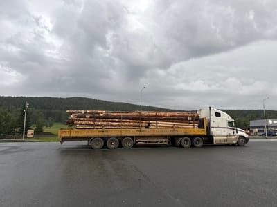 A white semi-truck with a yellow flatbed trailer carrying a load of logs is parked on a wet asphalt surface. The truck is white with red and blue star decals on the side of the cab. The trailer is loaded with raw, unpeeled logs of various sizes. In the background, there is a dense forest of green trees covering rolling hills under a cloudy, gray sky. A streetlamp is visible in the middle ground. Further in the distance, a modern building with a sign that reads "KNAUF" is visible, suggesting a commercial area. The overall scene is overcast and appears to be in a rural or semi-rural setting. The location is identified as Inzer, Russia.