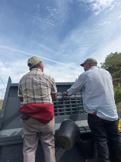 Two adult males are observed from behind, standing in the bed of a dark grey utility vehicle, likely a truck, in Ervedosa do Douro, Portugal. The individual on the left wears a light olive green baseball cap, a plaid short-sleeved shirt (white, grey, and red), and light brown cargo pants, with a dark red fabric tucked into his waistband. The individual on the right wears a faded dark grey baseball cap, a light blue long-sleeved shirt with sleeves rolled, and dark blue jeans with red-handled pruning shears in his right rear pocket. His right hand rests on the top edge of a dark grey metal tailgate, which features a rectangular grated section. Two black plastic buckets, one inverted, are present on the vehicle's bed floor. Both men are facing away from the camera, looking towards the horizon. The sky is clear blue with sparse cirrus clouds and a prominent airplane contrail. Green foliage, consistent with a hillside, is visible to the right.