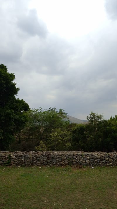 The image depicts a natural landscape likely situated in Tinaquillo, Venezuela, recognizable by its vegetation and mountainous backdrop. A low retaining wall, constructed of stones held together by wire mesh, separates a grassy foreground from a dense line of trees and shrubs. A mountain can be seen in the distance, partially obscured by the foliage. The sky is overcast, suggesting a cloudy or potentially rainy day. No people or animals are visible in the image. The scene evokes a sense of rural tranquility.