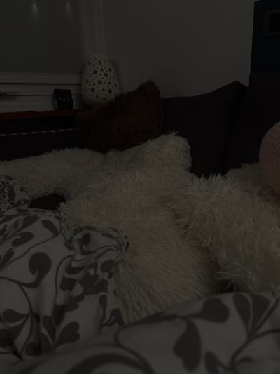 The image depicts a dimly lit indoor scene, possibly a living room or bedroom. In the foreground, a gray and white patterned blanket or sheet is visible, partially covering a white, shaggy, faux-fur blanket or rug. This shaggy textile extends into the midground, suggesting it covers a surface such as a bed or sofa. To the left, a dark brown, shaggy cushion or pillow rests against a dark gray or black upholstered furniture piece, likely a sofa back or headboard.
In the background on the left, a white window frame with a handle is visible. On a surface beneath or beside the window, a white, oval-shaped decorative object with numerous circular cutouts, resembling a lamp or vase, is placed. Next to it, a small, dark rectangular object, possibly an electronic device or box, is present. The background on the right features a dark teal or green wall section, on which a light switch or control panel with two circular indicators is mounted. No people are visible. There are no visual cues within the image that indicate the location is the city of Milan, Italy.