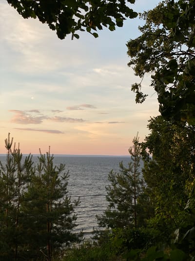 This image captures a serene natural landscape at dusk. The foreground features lush green foliage, with pine trees on the left and denser trees on the right framing the scene. Beyond the trees, a calm body of water stretches to the horizon, reflecting the soft hues of the sky. The sky itself is a blend of pale blues and warm oranges and pinks, indicating the setting sun. Scattered, wispy clouds are visible. The overall impression is one of tranquility and natural beauty. This scene is likely a view from the Volga River embankment in Ulyanovsk, Russia, a popular spot for observing sunsets over the water.