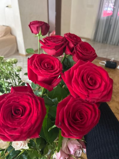 A bouquet of red roses, some fully bloomed and others in bud, is displayed on a wooden surface. The roses vary in size and stage of opening, with visible petals and stems. Interspersed with the roses are some smaller, lighter-colored flowers and green foliage. In the background, a light-colored sofa covered with a cloth is visible on the left, and a window with a curtain is on the right. A black object, possibly a car key fob, rests on the wooden surface behind the flowers. The scene is indoors, suggesting a domestic setting. There are no people visible in the image. The location is not specified in the image, and therefore, it cannot be identified as Batumi, Georgia.