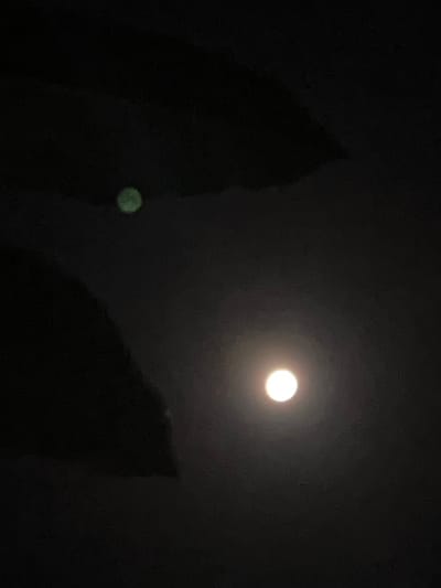 The image shows a dark night scene, likely taken in Canggu, Indonesia. A bright moon is visible in the upper center of the frame. Silhouetted objects, possibly trees or buildings, occupy the lower portions of the image. A small, indistinct green light is visible on the left side, seemingly on one of the objects.