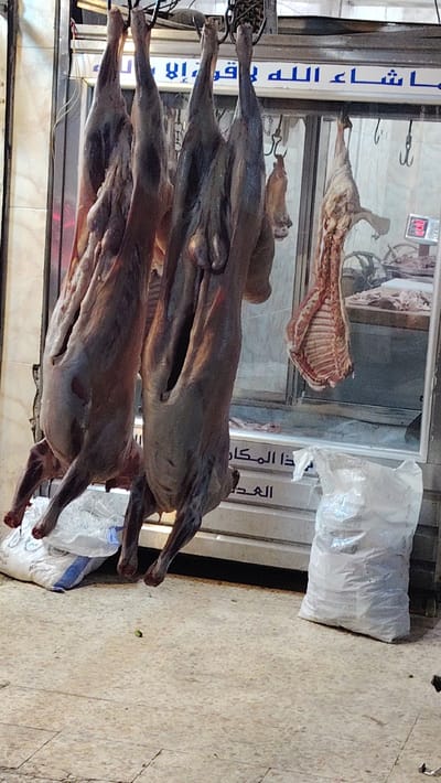 Several animal carcasses hang in a butcher shop window. Three dark, skinned carcasses dominate the foreground, suspended from hooks. A lighter, partial carcass hangs behind them. A digital scale is visible on a countertop behind the carcasses. Bags are on the floor beneath the hanging meat. Arabic script is on a sign above the display window.