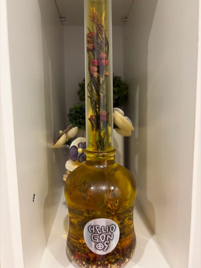 A tall, narrow glass bottle filled with amber liquid and botanical elements is displayed in a white, recessed shelf. The bottle has a round base that tapers upwards into a cylindrical neck. Inside the bottle, a sprig of dried herbs with small red berries is visible. The bottom of the bottle contains more dried botanicals. A circular silver label with raised lettering that reads "HELIO CON 95" is affixed to the lower portion of the bottle. In the background, out of focus, are green artificial plants and decorative elements resembling flowers or petals. The shelf appears to be part of a larger display or storage unit. The overall scene suggests a decorative item or a product being showcased. The location is identified as Novi Iskar, Bulgaria.