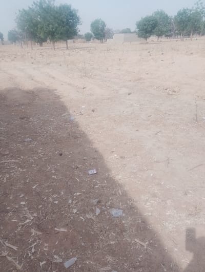 The image depicts an arid, undeveloped open land area within or near Kanwa, Nigeria. The foreground consists of reddish-brown dirt and sand, heavily mixed with dry organic debris, wood chips, and scattered litter including a small white plastic bottle, crumpled plastic remnants, and a rectangular wrapper. A prominent, elongated shadow extends diagonally from the lower-left, covering a significant portion of the foreground. Beyond this, the ground transitions to lighter beige sand, marked by visible tire tracks or worn dirt paths traversing from left to right across the midground. In the midground and background, multiple trees with green foliage are sparsely distributed across the landscape. Further in the background, several single-story, light-colored buildings are discernible, indicating a nearby settlement. The sky is a pale, hazy blue. No people or animals are present. No specific actions or interactions are observed.
