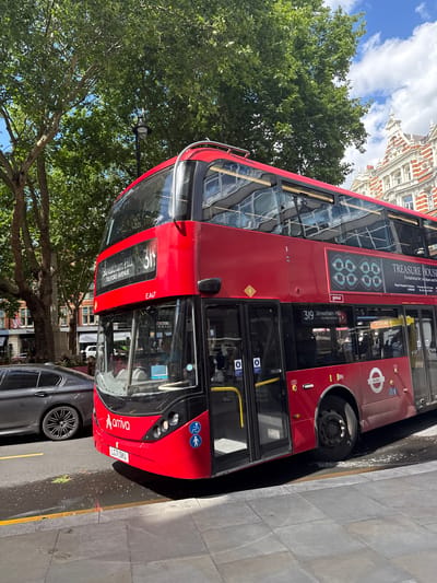 A bright red, double-decker Arriva bus, route 319 to Streatham Hill via Telford Avenue, is prominently featured, angled towards the viewer from the right side of the frame. The bus has the license plate LG71 Dku. On its side, an advertisement displays "TREASURE HOUSE" with an artistic representation of eyes above the text.
The bus is on a city street, with a grey car parked to its left. The road has yellow and white lines marking the lanes. In the background, a grand building with white and red ornate architecture stands, suggesting a well-established part of London. Lush green trees with full canopies overhang the street, and the sky is a clear blue with scattered white clouds. A lamppost with a distinctive design is visible between the trees and the bus. The bus is in motion, as indicated by the slight blur on the wheels. The scene depicts a typical urban environment in London on a sunny day.