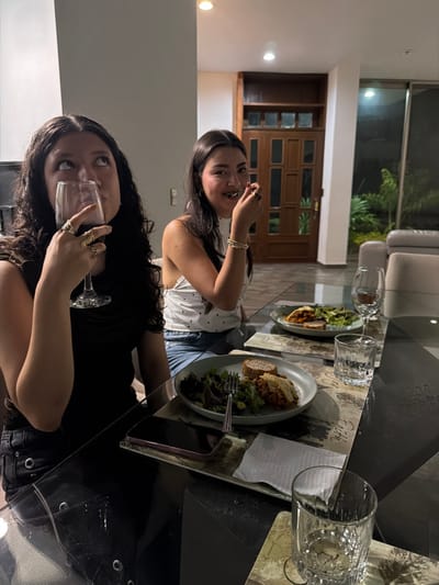 Two young women are seated at a table, apparently enjoying a meal. The woman in the foreground holds a wine glass, while the woman in the background gestures with her hand. Plates of food, glasses, and decorative placemats adorn the table. Behind them, a door and a glimpse of outdoor greenery are visible. The setting appears to be a modern, well-lit dining room, possibly in a residential home.