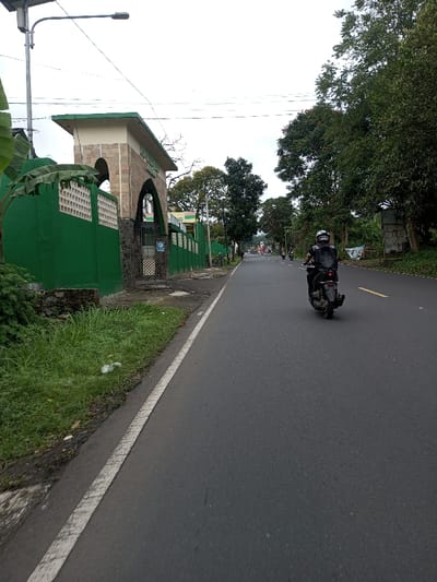 The image displays a roadway in Serpang Shalli, Bhutan, under an overcast sky. The view is forward along the road.
On the left, a grassy verge with a discarded white object leads to a low stone wall. Beyond the wall, a long green wall extends, topped by white lattice sections. A central archway, constructed from light brown stone-like material with a cream-colored top and green roof section, forms an entrance. Within the archway, a small gate and a blue informational sign are visible. Large green leaves, consistent with a banana plant, are present to the archway's left. A tall metal street lamp stands on this side, extending over the road. Behind the wall, a building with a yellow facade and green roof segments is partially discernible amidst trees.
The asphalt road, marked with a solid white line on its left edge and yellow dashed lines further ahead, accommodates traffic moving away from the viewer. A single individual operates a dark-colored scooter or motorcycle, positioned on the right side of the visible lane. The rider is clad in a black helmet with white markings, a black jacket, and a black backpack. The motorcycle features a red taillight. Several additional motorcycles are visible in the distant background, proceeding in the same direction.
The right side of the road consists of a dirt shoulder with vegetation, transitioning into a dense line of trees, some bearing red floral clusters. A structure with corrugated metal siding is partially visible beyond the trees further down the road.