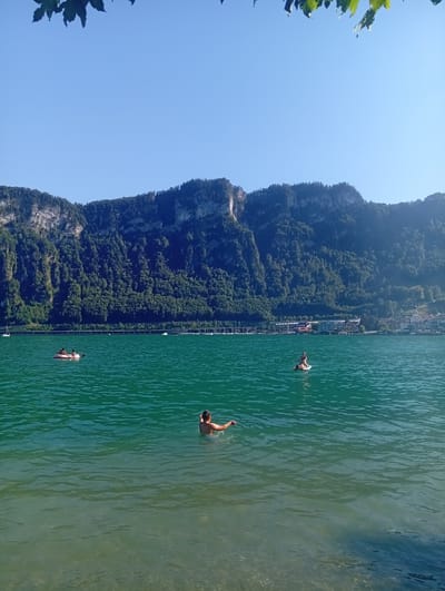 The image depicts a serene summer day at Lake Lucerne, specifically the area near Hergiswil (NW), Switzerland. The foreground shows clear, turquoise water with sunlight creating ripples and a visible seabed in the shallower areas. In the middle ground, several individuals are enjoying the water. A person is swimming, facing away from the camera, with their arms outstretched. Further out, two people are on a small, inflatable raft. In the distance, the picturesque landscape of Hergiswil unfolds, with a lush green mountainside dominating the background. The mountain is densely forested, with rocky outcrops visible. Along the base of the mountain, a town with white buildings and red roofs is nestled, and a road or promenade runs along the lakeshore. A few sailboats are anchored or sailing on the lake, adding to the tranquil atmosphere. The sky is a clear, bright blue, with a few leaves from a tree hanging into the frame from the top left corner. The overall scene conveys a sense of peaceful recreation in a beautiful natural setting.