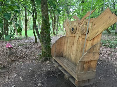 A wooden swing seat designed in the shape of an owl is located in a wooded area in Castlecomer, Ireland. The owl-shaped swing is constructed from vertical wooden planks, with large circular wooden pieces forming the eyes. A bench seat is integrated into the owl's body. The swing is suspended by two metal cables. To the left of the swing, a whimsical, mushroom-shaped garden ornament with a pink cap and yellow spots is visible. The ground around the swing and ornament is covered in fallen leaves and twigs, with several trees and lush green foliage forming the background. The lighting suggests it is daytime.