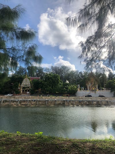 A vertical, wide-angle shot shows a serene scene in Rawai, Thailand, with a body of water on the right and trees and a temple structure on the left. The sun is bright, casting light through the branches of pine-like trees in the foreground, suggesting it's daytime, likely late morning or early afternoon. The sky is a vibrant blue, dotted with fluffy white clouds, indicating fair weather.
The water, calm and reflective, occupies the right half of the frame. Its surface is rippled, and it appears to be a pond or a narrow canal. On the left side, dense green foliage from various trees creates a natural border. Behind the trees, a white building with a golden, multi-tiered roof stands prominently, resembling a temple or a shrine. It's adorned with intricate golden decorations and appears to be a place of worship or cultural significance.
A stone pathway or wall runs along the edge of the water and the temple grounds, with some visible construction or landscaping work in progress, indicated by exposed earth and retaining structures. A few cars are parked along the pathway, hinting at visitors or residents.
There is some text visible on a yellow sign near the temple, but it is not clearly legible. The overall mood is peaceful and tranquil, with the natural beauty of the trees and water complemented by the architectural elegance of the temple. The scene evokes a sense of calm and cultural immersion.