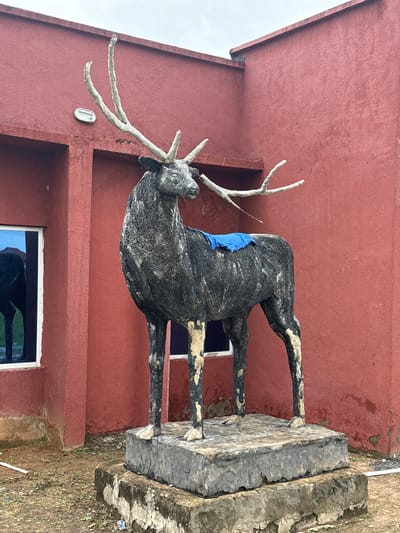 A full shot photograph shows a statue of a deer with large antlers standing on a two-tiered concrete platform. The statue is dark gray with lighter patches on its legs and body. A bright blue cloth is draped over its back. The statue is positioned in front of a textured, dark red building. To the left of the statue, a rectangular window with a white frame reflects the sky and a building. The ground in front of the statue is dirt with patches of green grass and scattered debris. The sky is overcast. This scene is located in front of a building within the city of Awka, Nigeria.