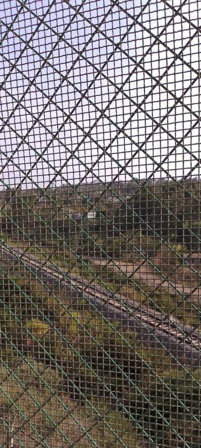 The image presents a close-up, high-angle view through a metal mesh fence, dominating the foreground and creating a strong sense of depth. The fence itself is constructed from intersecting wires forming a grid of squares, which appear diamond-shaped due to the angle of the shot. The wires are a dull metallic grey, possibly with a subtle green tint or coating, particularly noticeable where they crisscross. The mesh is in sharp focus, with individual wires and their texture clearly visible.

Through the fence, the background is visible but significantly blurred, indicating a shallow depth of field where the camera's focus is entirely on the fence. The top third of the image shows a pale, light blue sky, suggesting daylight and clear weather. Below the sky, the mid-ground and background consist of a densely wooded or vegetated area, appearing as a blurred mass of various shades of green and brown, consistent with trees, bushes, and earth.

Within this blurred natural landscape, a distinct, lighter-colored structure or pathway can be observed diagonally crossing the frame from left to right in the lower-middle section. This feature appears somewhat elevated or like a bridge, with a lighter surface, possibly concrete or dirt, flanked by darker elements that could be supporting structures or shadows. Small, indistinct shapes that might be buildings or other distant objects are faintly visible further back within the green expanse, especially towards the upper middle of the background. The overall impression is that of looking out from an enclosed or restricted area, possibly an observation deck, a bridge, or a protected space, into a natural environment. The lighting suggests it is daytime, with ample ambient light.