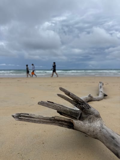A low-angle shot captures a piece of weathered driftwood lying on the sandy shore of Karon Beach in Karon, Thailand. The driftwood, grey and textured, occupies the foreground, with its gnarled branches extending towards the left. In the mid-ground, three figures are walking along the shoreline in shallow focus. Two individuals appear to be wearing swimwear, and one carries an orange bag. The ocean stretches beyond them, with gentle waves rolling towards the beach under a sky filled with overcast, grey clouds. The overall atmosphere is muted and slightly melancholic.