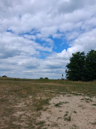 The image depicts an outdoor scene with a sandy foreground transitioning into dry, grassy terrain. In the mid-ground, a line of trees is visible on the horizon, with a cluster of dense green trees dominating the right side of the frame. The sky above is a mixture of blue patches and white, fluffy clouds. The environment appears to be a natural, open area. No people or specific landmarks identifiable to Reutyntsi, Ukraine are present.
