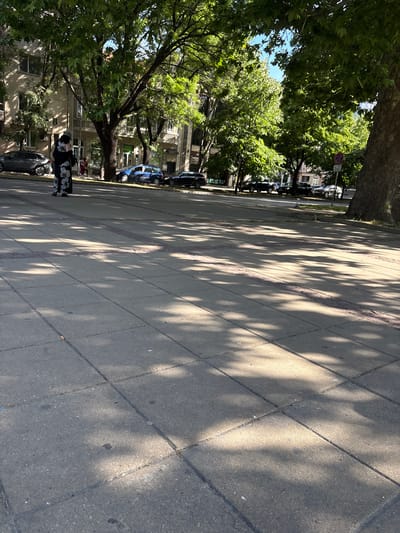 The image depicts a street scene in Varna, Bulgaria, likely on a sunny day given the strong shadows. In the foreground, a paved sidewalk made of rectangular gray concrete slabs is visible. The shadows of trees are cast across the sidewalk, creating a dappled pattern of light and dark.

In the middle ground, a street with several parked and moving cars can be observed. One car, a dark-colored sedan, is parked on the right side of the street. Further down, a blue hatchback is in motion, and another dark sedan is parked. The buildings on the left side of the street are several stories high, with balconies and windows, suggesting an urban residential or commercial area.

On the sidewalk to the left, a person wearing a long, patterned black and white dress and a cap is standing. They appear to be facing away from the camera, looking towards the street. Behind this person, a few other individuals are visible walking on the sidewalk. Trees with lush green foliage line the street, providing shade and contributing to the overall atmosphere of the scene. A traffic sign is visible on the right side of the street, indicating a no parking or restricted area.