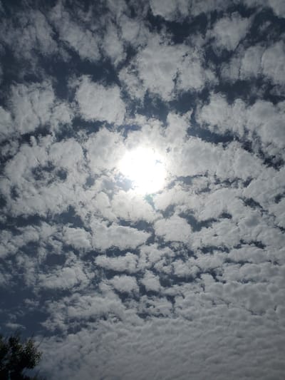 The image shows a sky filled with scattered clouds and the bright sun shining through them. The clouds are white and fluffy, with some areas appearing darker due to shadowing. The sun is positioned slightly off-center, creating a bright glare that illuminates the surrounding clouds. The overall impression is that of a clear day with some cloud cover, likely during daylight hours. The presence of clouds and the bright sun suggests fair weather. The image is a landscape view of the sky, with no specific objects or people clearly visible. The bottom right corner shows a hint of trees, suggesting an outdoor scene. There is no visible text in the image.