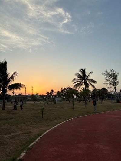 Captured at sunset, the photograph showcases a park setting in Coatzacoalcos, Mexico. Palm trees in silhouette punctuate the horizon where the sun dips low. A red track borders the park's edge, and individuals are visible engaging in activities within the grassy area. Distant communication towers and the urban landscape are visible between the trees. The sky shifts from blue to orange at the horizon.