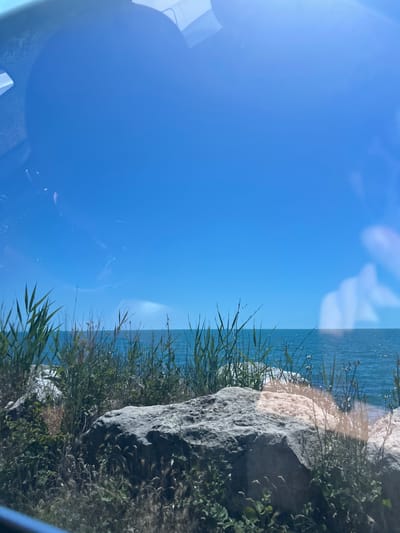 The image shows a bright, clear day with a vast expanse of blue sky. In the foreground, there is a large, grey rock situated amongst various green plants and grasses. Beyond the rock and vegetation, the deep blue sea stretches to the horizon, meeting the sky in a sharp line. The water appears calm with subtle ripples. Reflections, possibly from a window or glass surface, are visible in the upper part of the image, distorting the blue sky with lighter, cloud-like shapes. The scene depicts a natural coastal landscape. The location is not Varna, Bulgaria; it is an unknown coastal location.