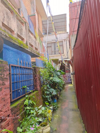 This image depicts a narrow alleyway in Kathmandu Metropolitan City, Nepal, likely in a densely populated area. On the left, a weathered, multi-story building with a concrete facade is visible, adorned with colorful prayer flags and patches of moss. A rusty metal gate with a blue panel sits in front of the building, bordered by a brick wall also covered in moss. Lush green plants and potted flowers are arranged along the base of the wall.
To the right of the alley, a tall, corrugated red metal wall rises, creating a stark contrast with the older structures. The alleyway itself is paved with concrete, showing signs of wear and occasional puddles, suggesting recent rain. In the distance, the alley opens up to reveal more buildings and a glimpse of a shop or restaurant with signage. The overall scene conveys a sense of a bustling urban environment, characterized by a mix of traditional and modern architecture, religious elements, and vibrant plant life.