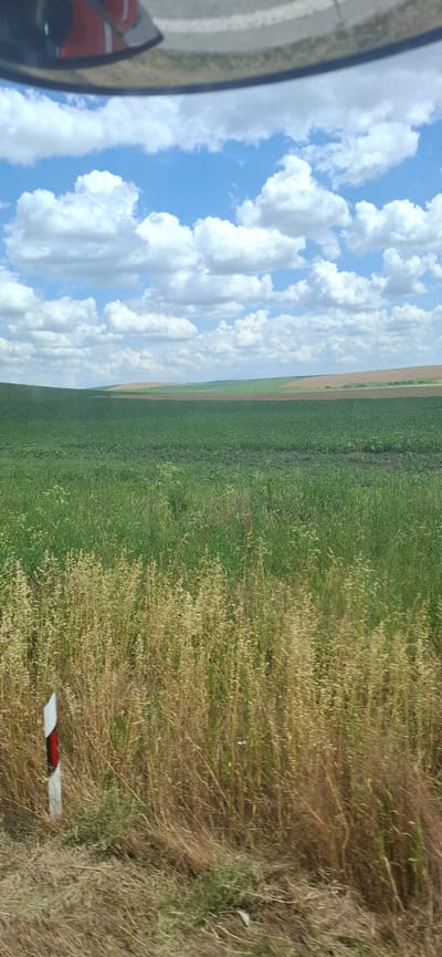 The image depicts a vast, green agricultural landscape under a partly cloudy sky, observed from a slightly elevated, moving viewpoint, possibly from a vehicle. In the foreground, dry, straw-like grass and a white road marker with red reflective elements are visible. The landscape unfolds into rolling hills covered by different crops. The closest large field is a vibrant green, appearing to be densely planted. Further in the distance, fields transition to lighter greens and then to shades of brown or tan, suggesting different stages of growth or cultivation. The sky is a bright blue, dotted with fluffy white cumulus clouds. The overall impression is one of rural agricultural land in a temperate climate during daytime. This scene is located in or near the city of Karaisen, Bulgaria.