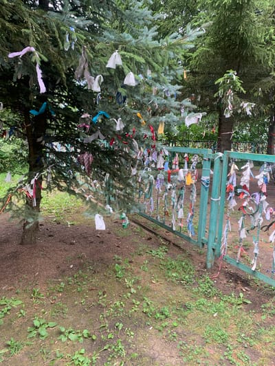 The image depicts a scene outside of Arbuzov-Baran, Russia, featuring two evergreen trees adorned with numerous colorful ribbons and fabric strips. The ribbons are tied to the branches of the trees and also hang from a turquoise-colored metal fence that runs parallel to the trees. The ground is covered with dirt, pinecones, and sparse green vegetation. The overall impression is of a traditional or spiritual site, likely a place of remembrance or prayer, given the practice of tying ribbons to trees.